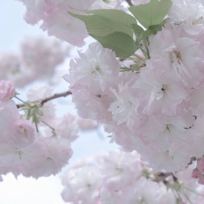 Furry圈创作干货福瑞交流群